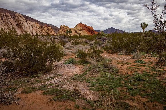 Gold Bute Landscape 2