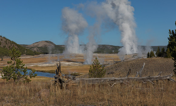 field of steam (1 of 1)