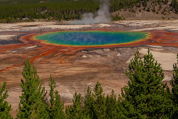 Grand Primatic pool