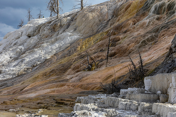 Mamouth Hot Springs 1