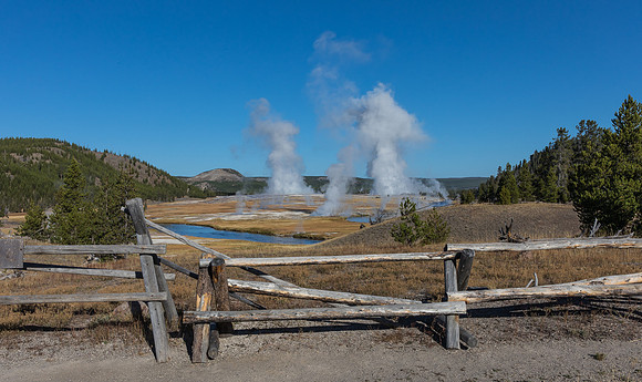field of steam 2 (1 of 1)